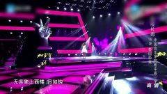 荷兰成人娱乐在线视频,揭秘荷兰成人娱乐产业的数字版图