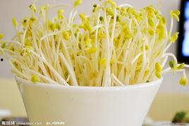 豆芽在线视频技师,揭秘高效学习与技能提升的秘诀