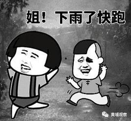 措手不及在线视频,揭秘在线视频中的突发危机应对策略