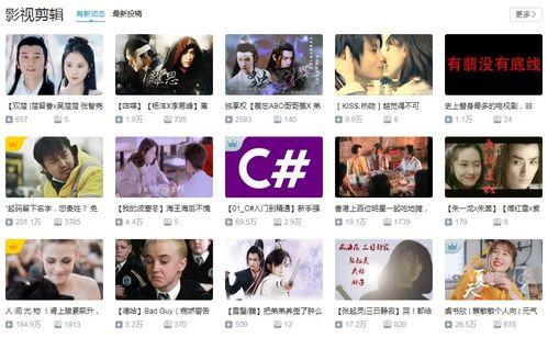 日日夜夜天天在线视频,探索视频世界的无限魅力