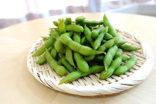 毛豆视屏在线视频观看,在线观看，畅享视听盛宴