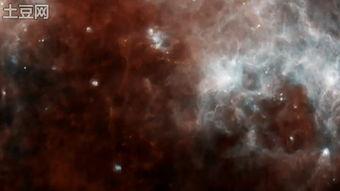 milky在线视频网站