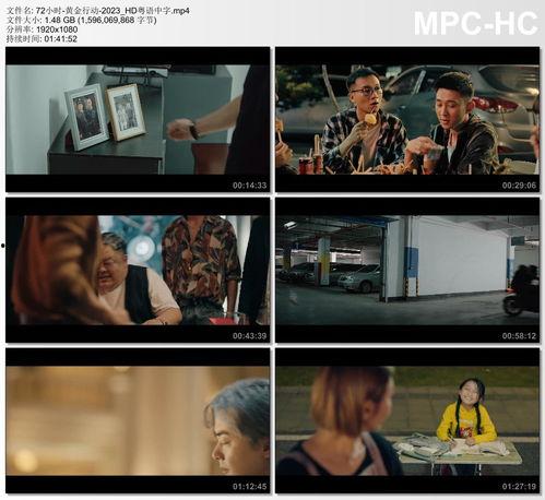 黄金调教在线视频 magnet,跟随magnet链接探索神秘领域